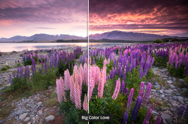 The 83 Best Lightroom Presets (Free & Paid) 1