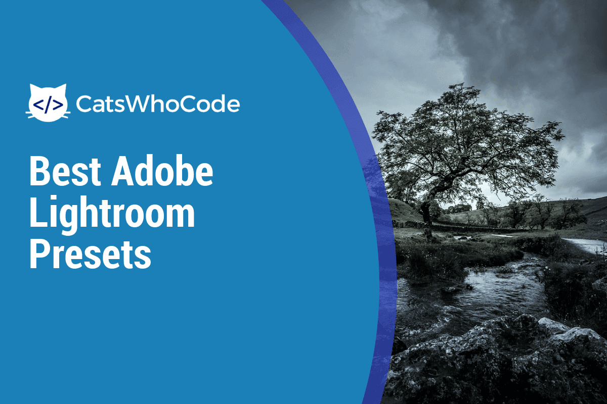 The 83 Best Lightroom Presets (Free & Paid) 40
