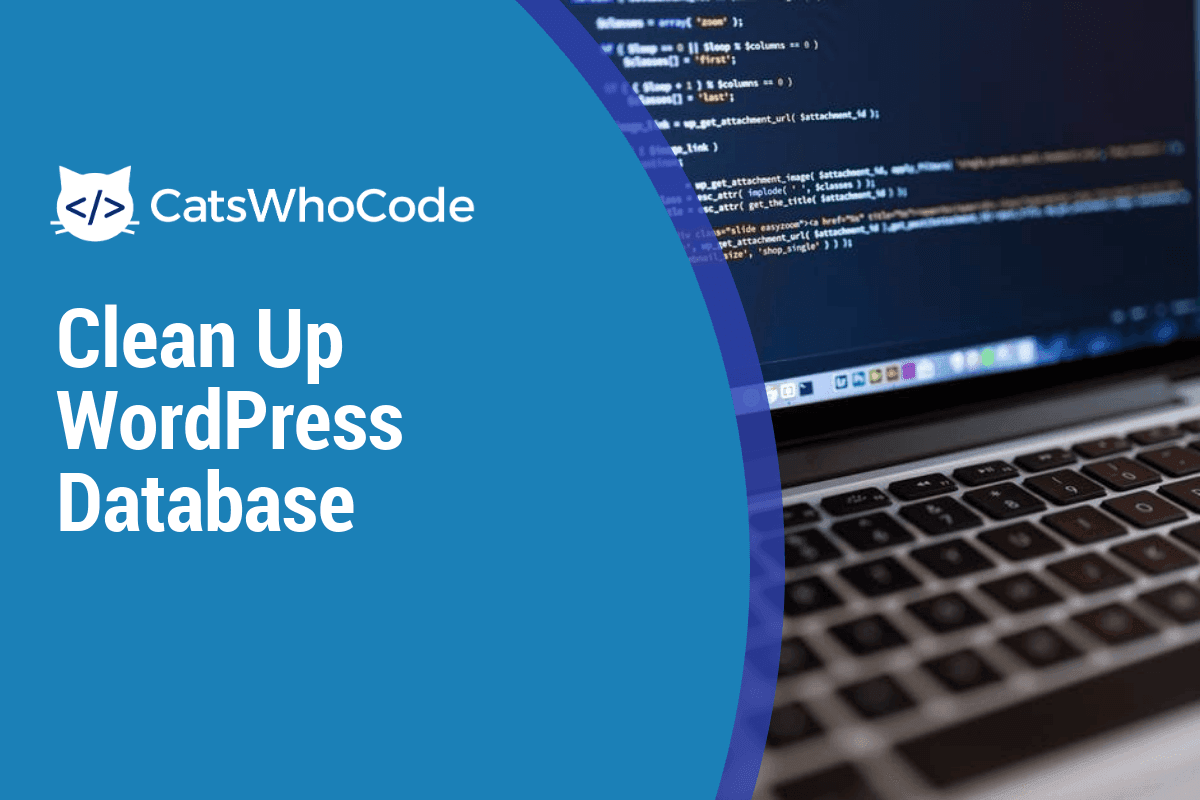 Useful SQL Queries To Clean Up Your WordPress Database 31